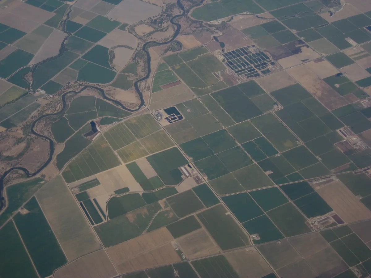 Farmland in California's San Joaquin Valley